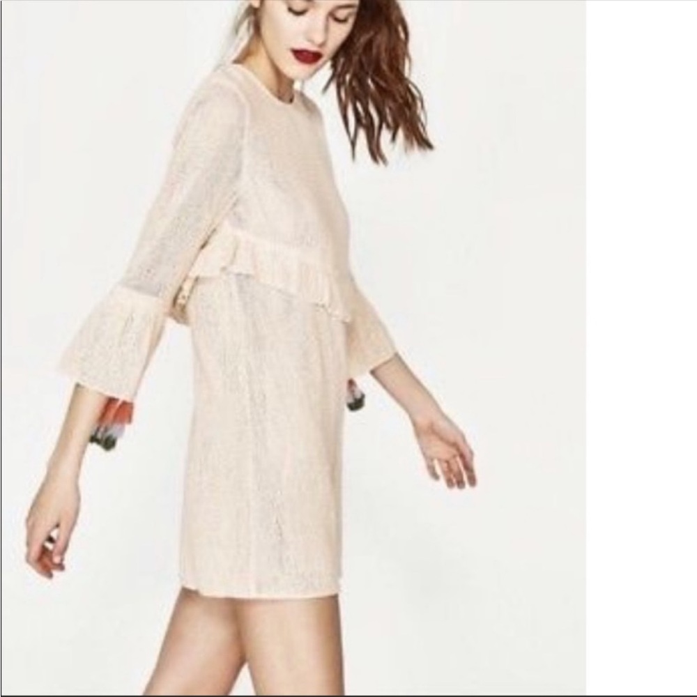 Zara Metallic Shimmer Lined Mesh Pompom Detail